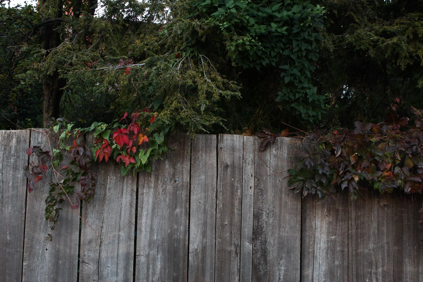 Accountability Partner Training #6: The Long-Term Change Process